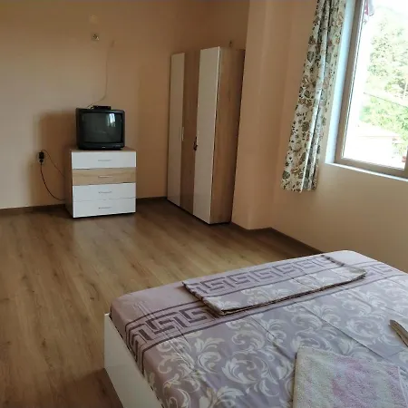 Proynovi *