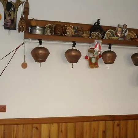 Proynovi