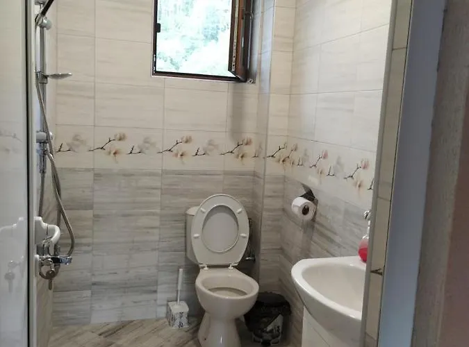 Proynovi Guest house *