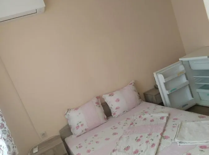 Guest house Proynovi